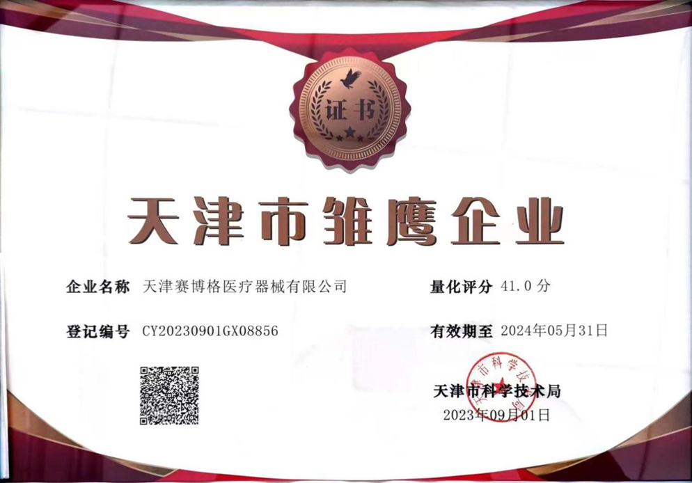 天津市雏鹰企业证书